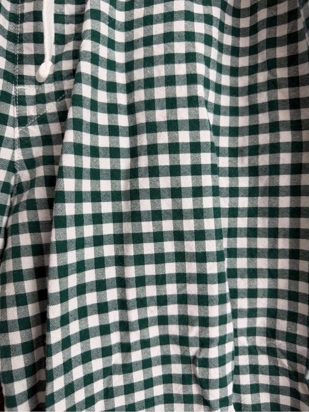 Women’s Green Gingham Drawstring Pants - Picture 3 of 4